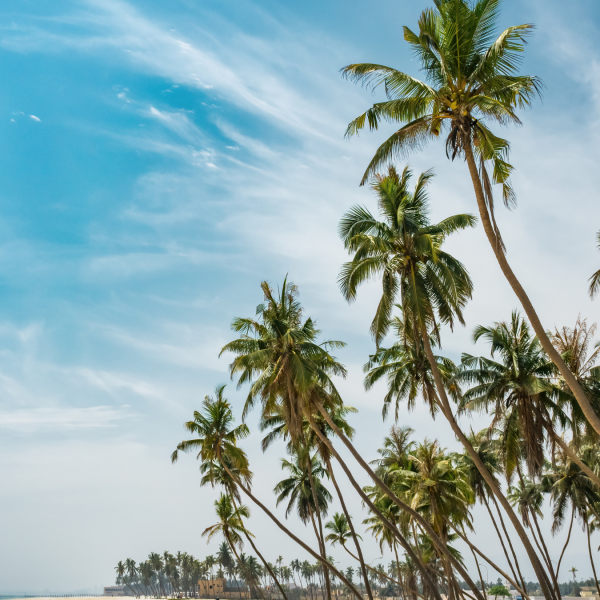 Salalah Excursions (6)